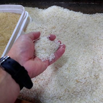 Abren Escuela del Arroz en Costa Rica